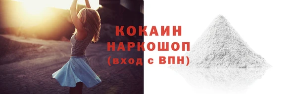 сатива Гусев