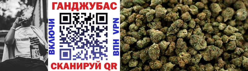 Купить где  Бородино  Марихуана сатива 